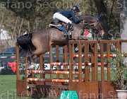 Offel Pour Le Poussage TosTour2013- S5 2394 : Arezzo, Arezzo Equestrian Centre, Offel Katarina, Pour le Poussage, Toscana Tour 2013, foto di Stefano Secchi ©